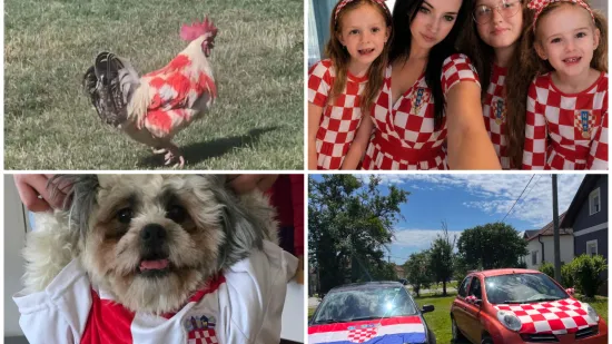 Ludi ste! U kockice ste obukli pse, automobile i kuće: Ovo su najbolje fotografije