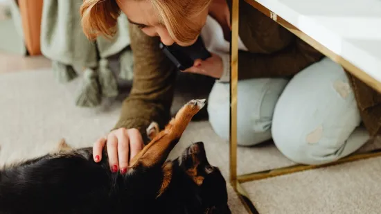 23 najče&scaron;će pogre&scaron;ke vlasnika pasa: Iznenadit će vas &scaron;to sve &scaron;teti va&scaron;em ljubimcu