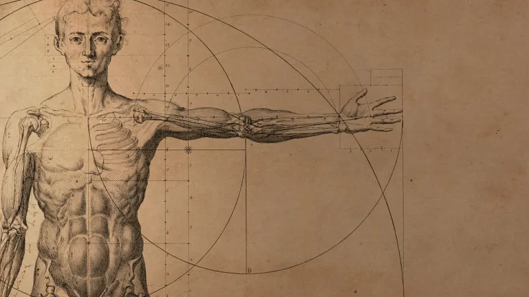 Ovih 16 organa ljudi imaju, a nisu im potrebni: Evo čemu su služili na&scaron;im precima