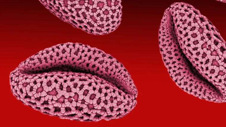 Izgledaju fascinantno, ali mogu vas ubiti: Nalaze se svuda oko nas