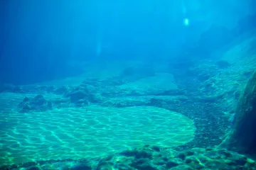 Zaronili do najdublje točke Mediterana: Ono što su pronašli šokiralo je i znanstvenike