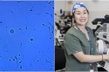 Liječnica objavila snimku spermija i postala hit: 'Nevjerojatno što se sve mora posložiti'