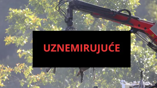 Galerija užasa: Opaka bolest uzela maha, prizori le&scaron;ina su uznemirujući