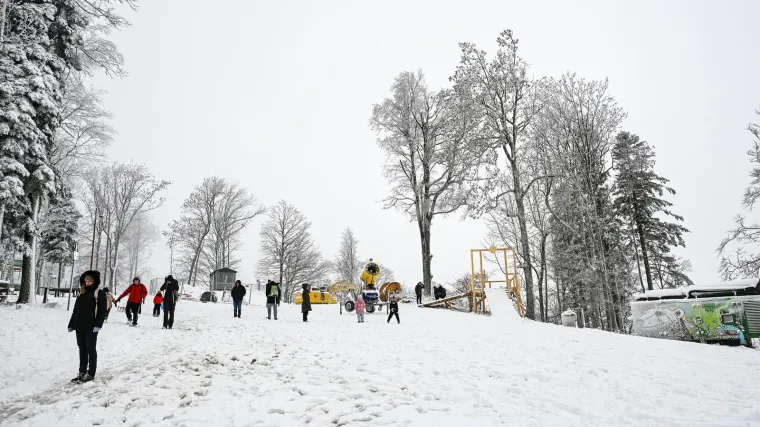 Snijeg prekrio Sljeme i stvorio pravi zimski ugođaj, građani napokon dočekali da upogone sanjke