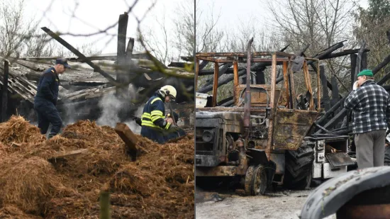 Životinje gorjele u buktinji, 200 kvadrata spaljeno do temelja: 'Pucalo je kao bomba'